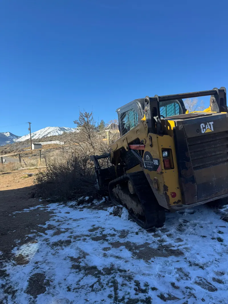 A skid steer clearing brush on a snowy lot