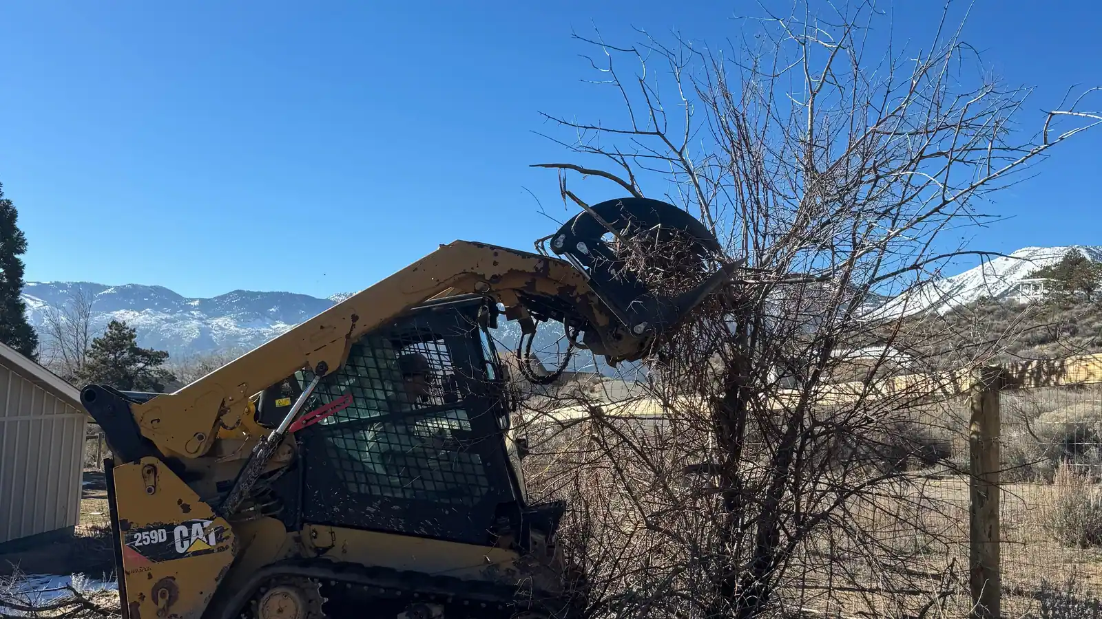 A skid steer with a grapple pulling a dead shrub out by a fence