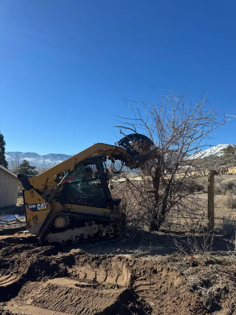 A skid steer with a grapple pulling a dead shrub out by a fence