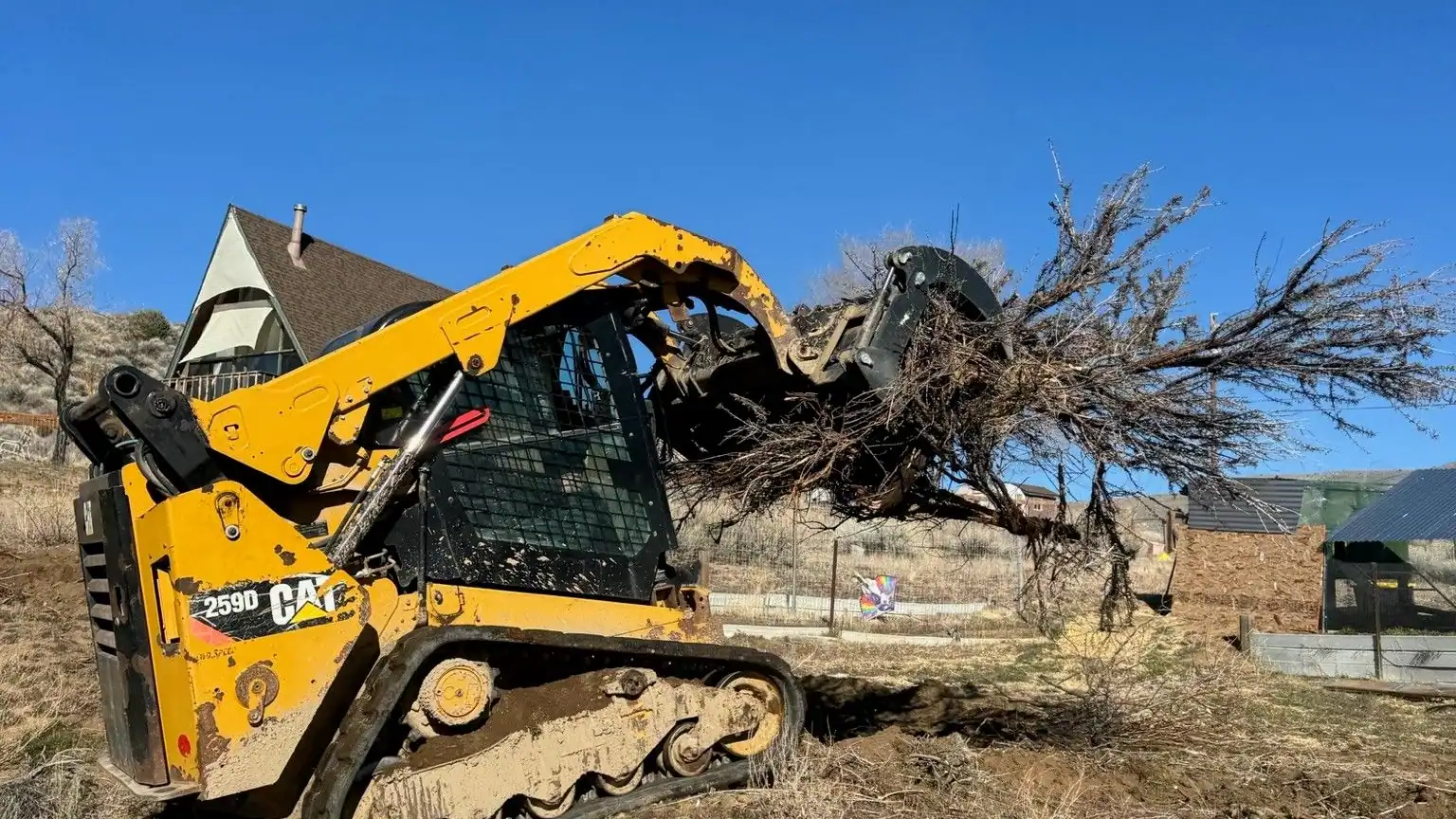 A skid steer with a grapple pulling out a tree by the roots