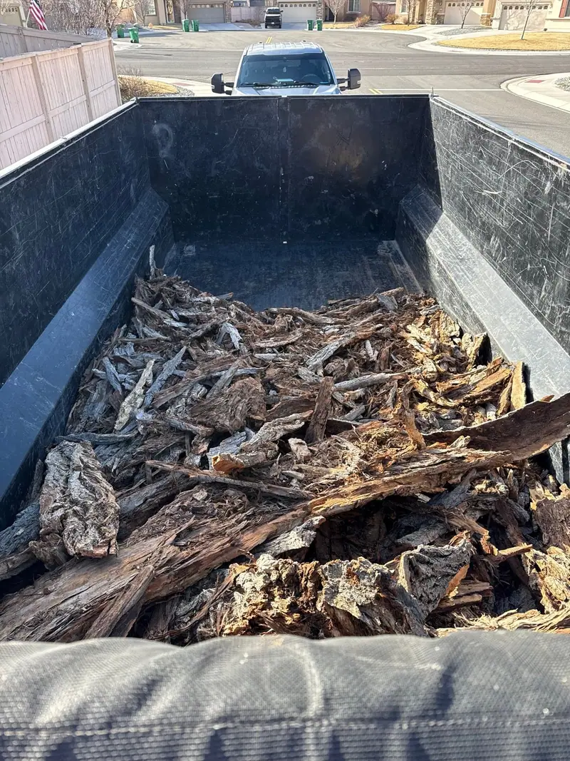The dump trailer full of old stumps and roots