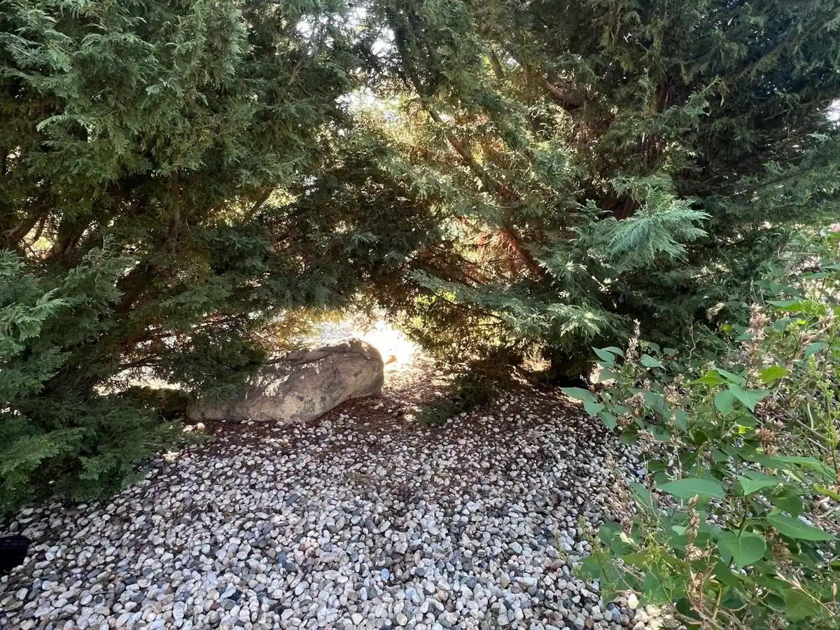 The same landscape rock with the bags gone