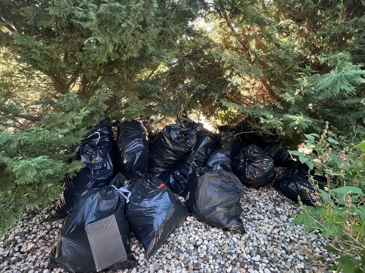 Black trash bags piled on landscape rock under the shrubs