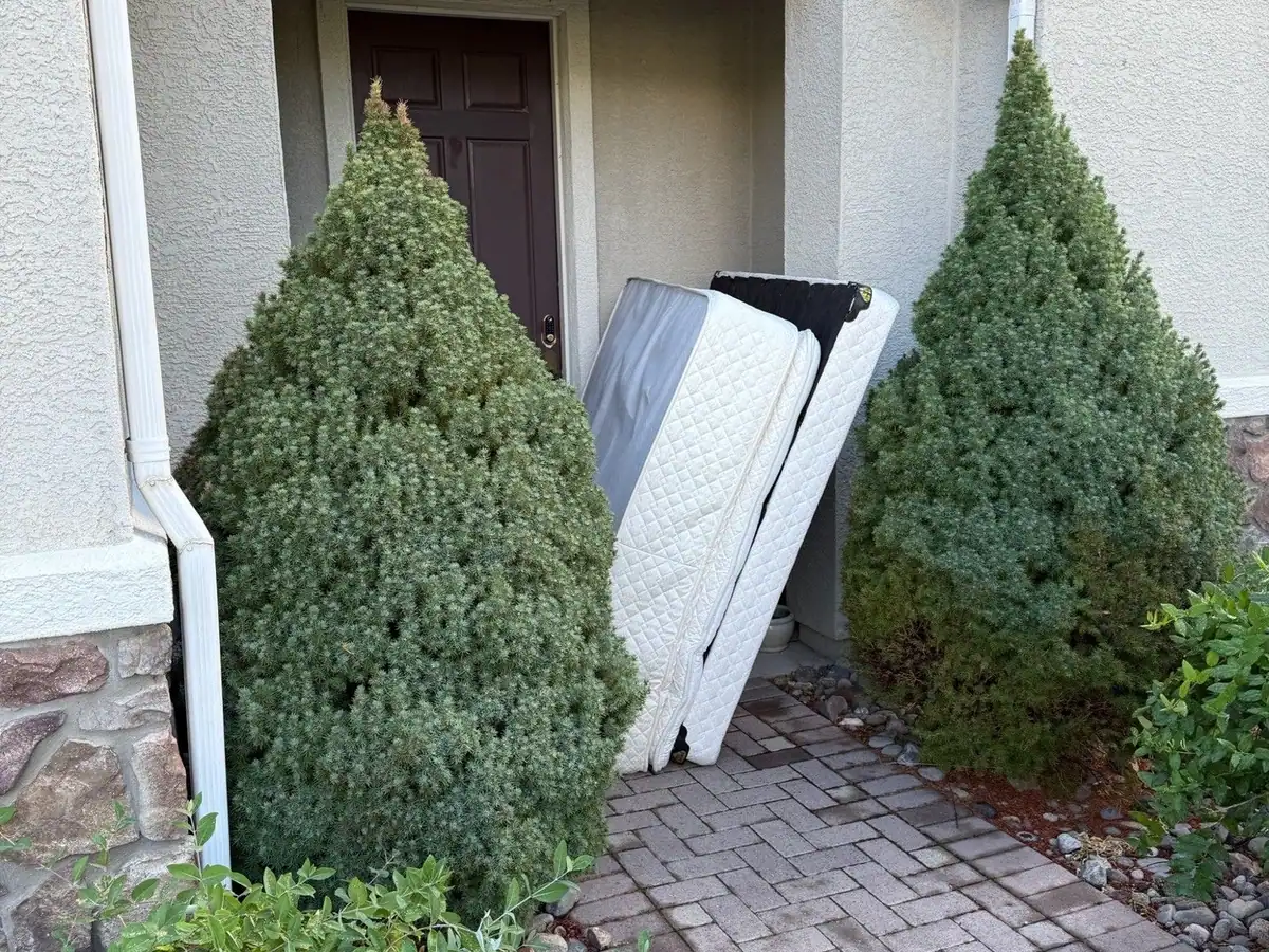 A mattress leaning against a front entry between two shrubs