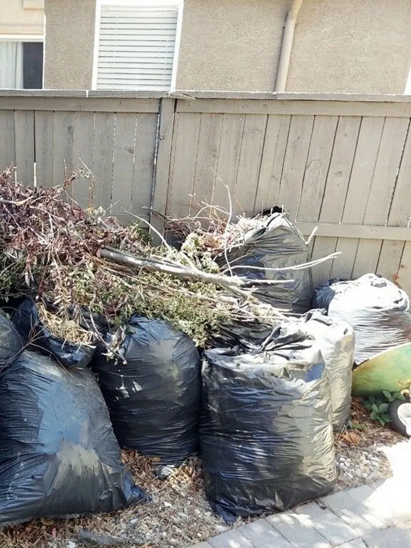 Bags of yard waste and cut branches against a fence