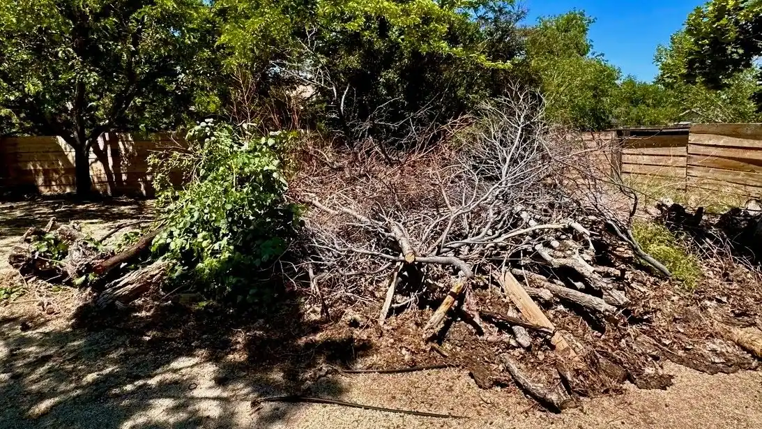 A pile of cut brush and branches in a yard